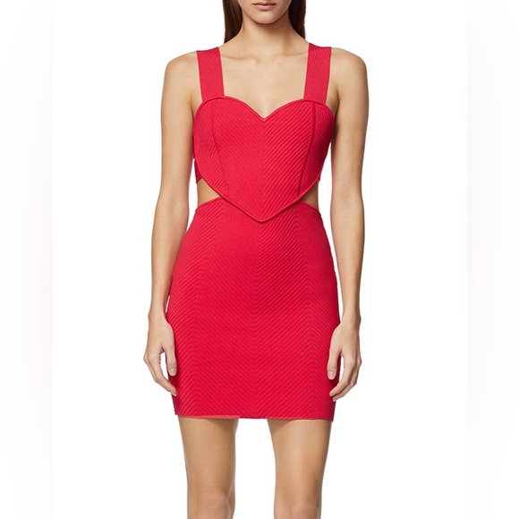 Herve Leger Cut Out Ottoman Mini Dress - Picture 4 of 4